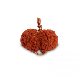 Gauri Shankar - Rudraksha