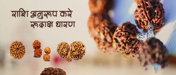 Rudraksha Family Pack